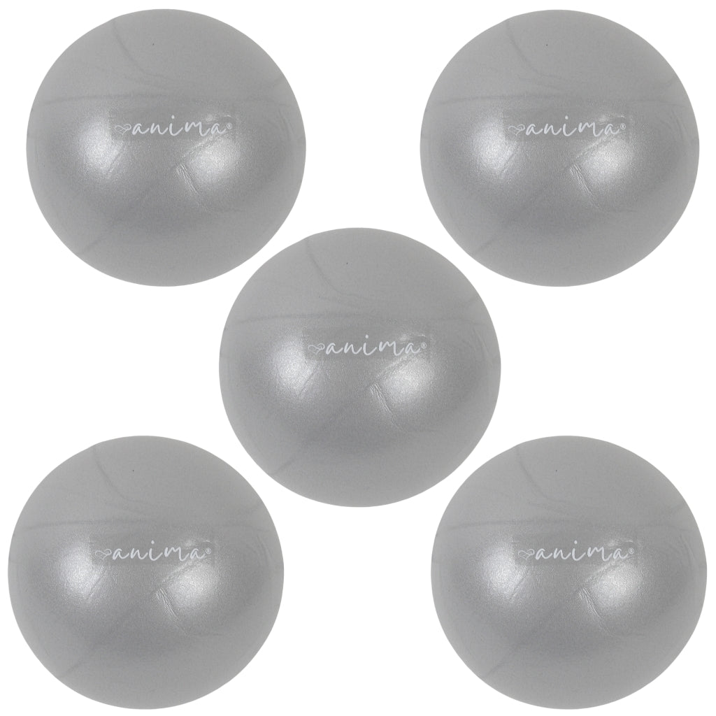 5 Stk. Pilates Bolde Grå, 25 Cm - ANIMA