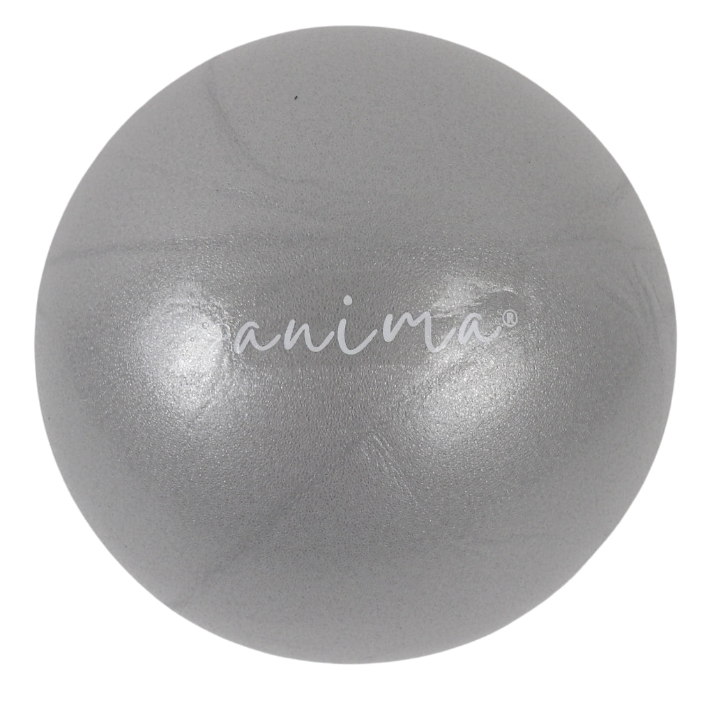 5 Stk. Pilates Bolde Grå, 25 Cm - ANIMA
